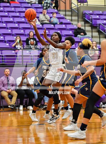 Thumbnail 1 in Pine Tree @ Hallsville photogallery.