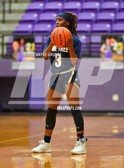 Thumbnail 3 in Pine Tree @ Hallsville photogallery.