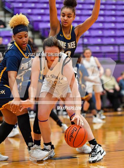 Thumbnail 2 in Pine Tree @ Hallsville photogallery.