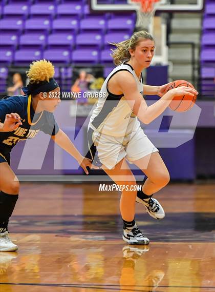 Thumbnail 3 in Pine Tree @ Hallsville photogallery.