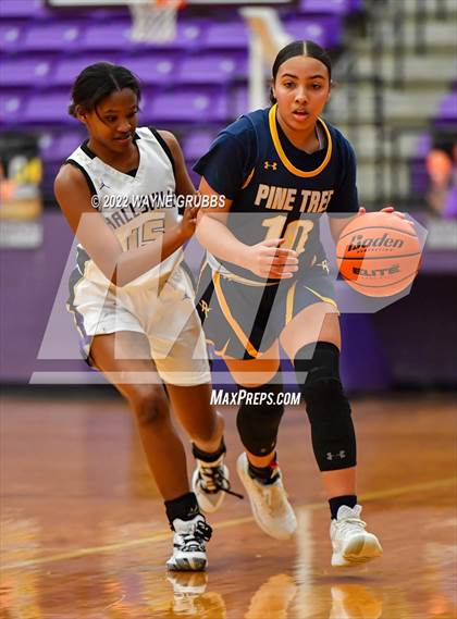Thumbnail 2 in Pine Tree @ Hallsville photogallery.