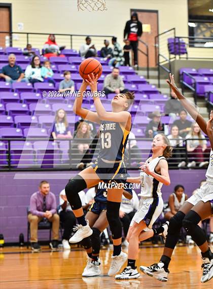 Thumbnail 3 in Pine Tree @ Hallsville photogallery.