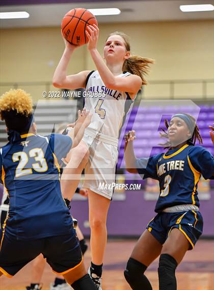 Thumbnail 2 in Pine Tree @ Hallsville photogallery.