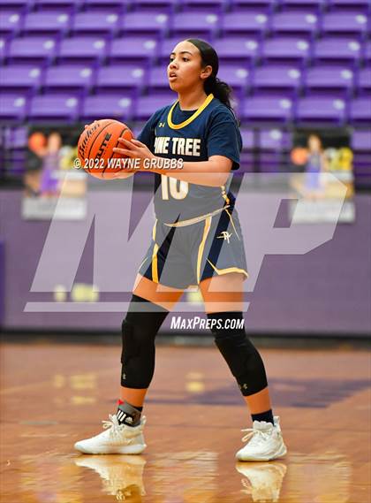 Thumbnail 1 in Pine Tree @ Hallsville photogallery.