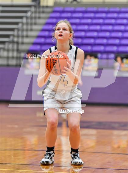 Thumbnail 3 in Pine Tree @ Hallsville photogallery.