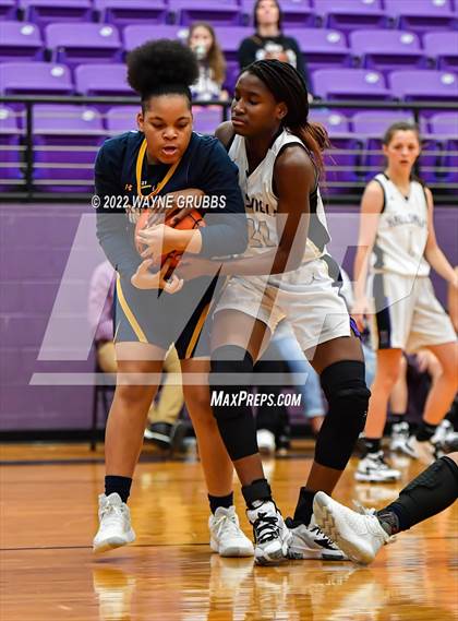 Thumbnail 2 in Pine Tree @ Hallsville photogallery.
