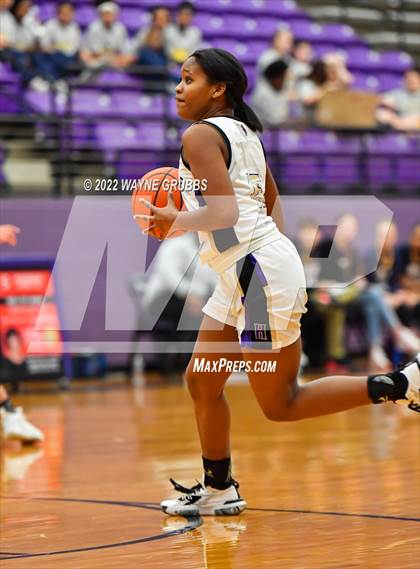 Thumbnail 2 in Pine Tree @ Hallsville photogallery.
