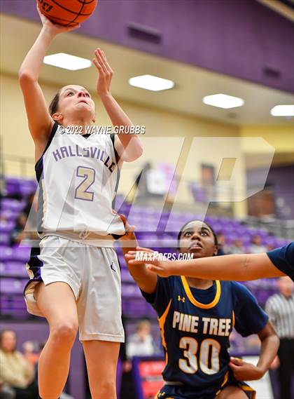 Thumbnail 1 in Pine Tree @ Hallsville photogallery.