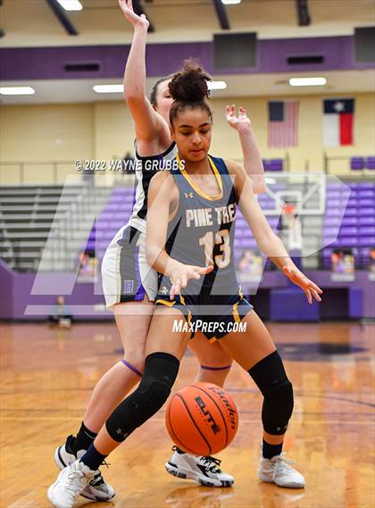 Thumbnail 3 in Pine Tree @ Hallsville photogallery.