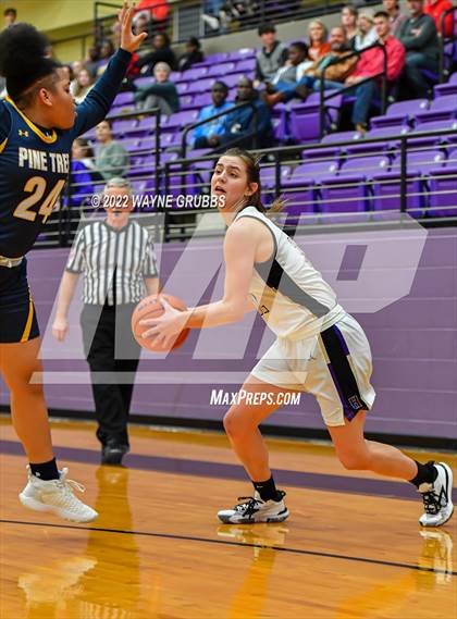 Thumbnail 1 in Pine Tree @ Hallsville photogallery.