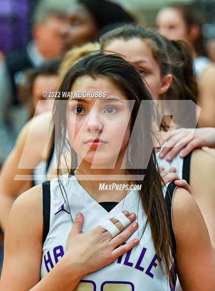Thumbnail 2 in Pine Tree @ Hallsville photogallery.
