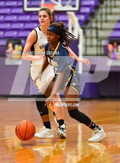 Thumbnail 3 in Pine Tree @ Hallsville photogallery.