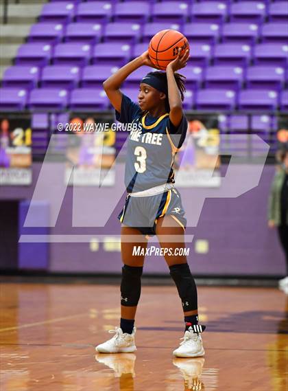Thumbnail 2 in Pine Tree @ Hallsville photogallery.