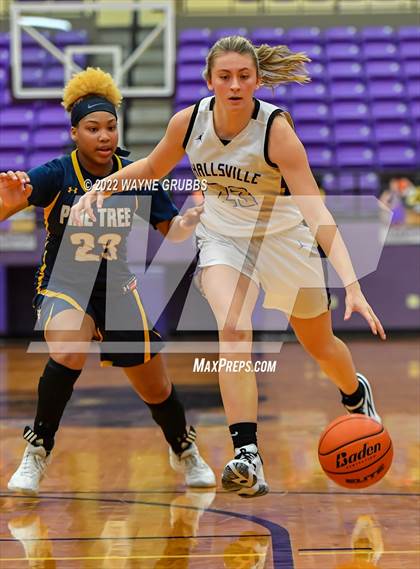 Thumbnail 2 in Pine Tree @ Hallsville photogallery.
