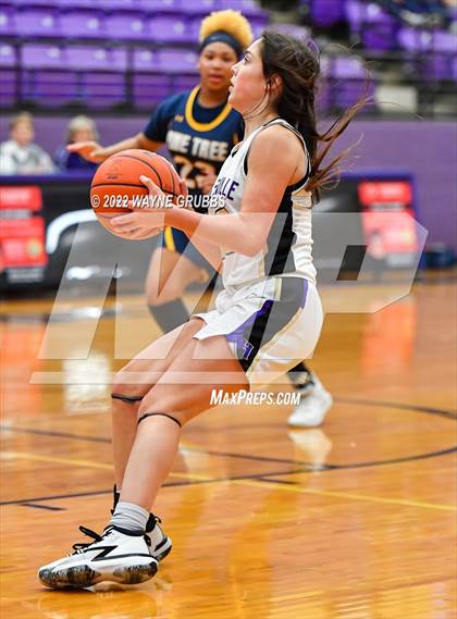 Thumbnail 3 in Pine Tree @ Hallsville photogallery.