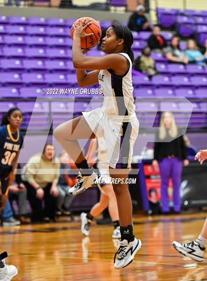 Thumbnail 3 in Pine Tree @ Hallsville photogallery.