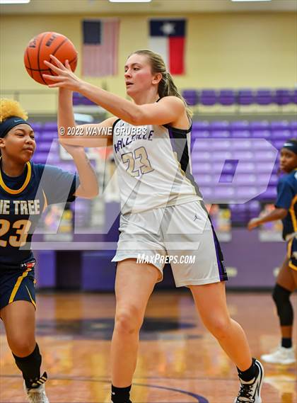 Thumbnail 3 in Pine Tree @ Hallsville photogallery.