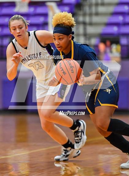 Thumbnail 1 in Pine Tree @ Hallsville photogallery.