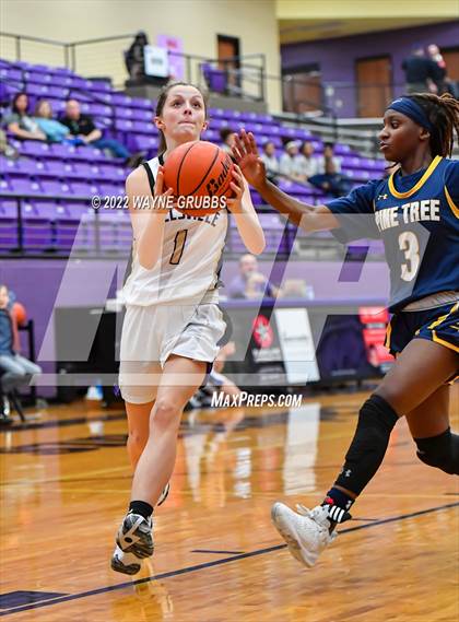 Thumbnail 2 in Pine Tree @ Hallsville photogallery.