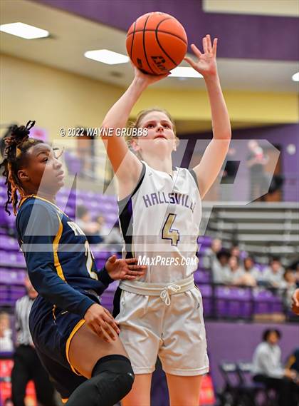 Thumbnail 2 in Pine Tree @ Hallsville photogallery.
