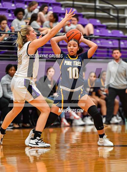 Thumbnail 2 in Pine Tree @ Hallsville photogallery.