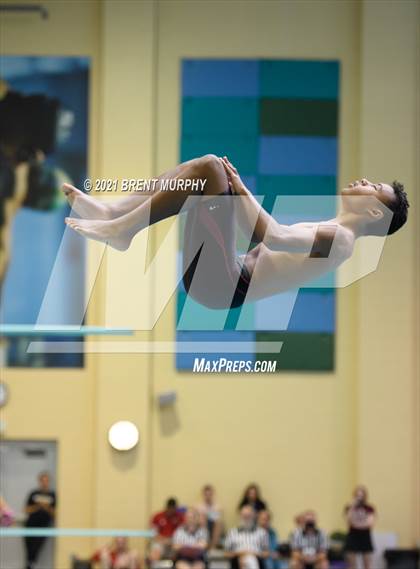 Thumbnail 3 in CHSAA 4A Boys Diving - State Championship photogallery.
