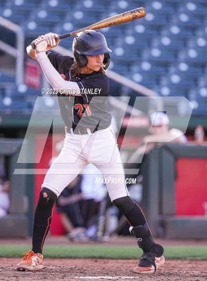 Thumbnail 2 in Canyon View vs Desert Edge (Goodyear Ballpark) photogallery.