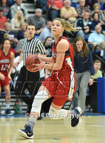 Thumbnail 2 in Alta vs. Springville (UHSAA 4A Semifinal) photogallery.