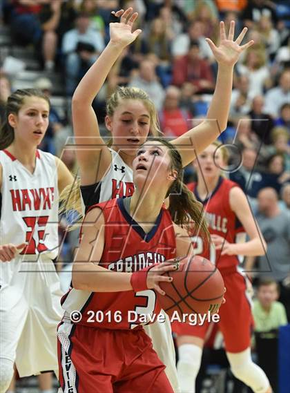 Thumbnail 3 in Alta vs. Springville (UHSAA 4A Semifinal) photogallery.