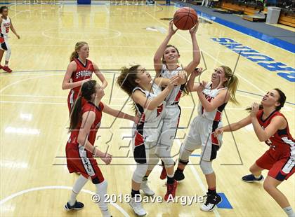 Thumbnail 1 in Alta vs. Springville (UHSAA 4A Semifinal) photogallery.