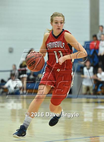 Thumbnail 3 in Alta vs. Springville (UHSAA 4A Semifinal) photogallery.