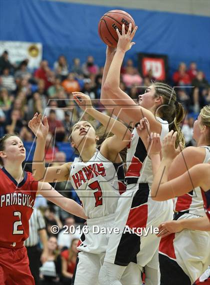 Thumbnail 2 in Alta vs. Springville (UHSAA 4A Semifinal) photogallery.