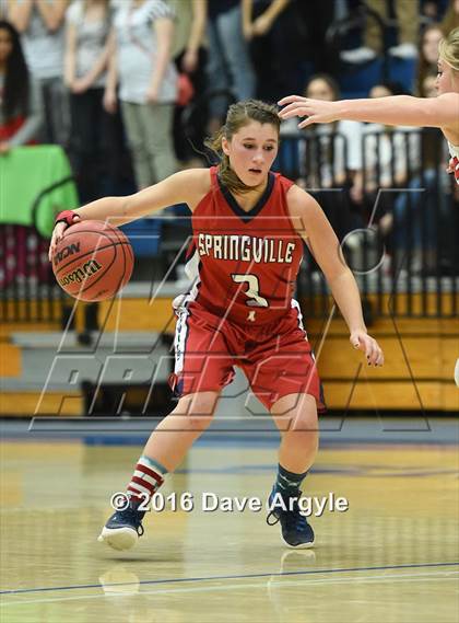Thumbnail 1 in Alta vs. Springville (UHSAA 4A Semifinal) photogallery.