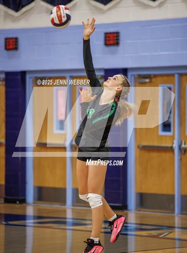 Palo Verde @ Centennial