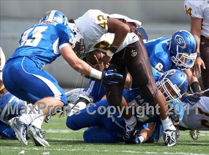 Thumbnail 1 in St. Francis @ Serra photogallery.