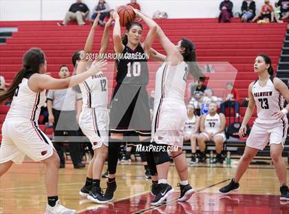 Thumbnail 1 in Donna North vs. Palmview photogallery.