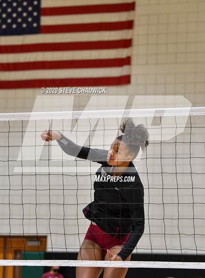 Thumbnail 3 in Hamilton @ Basha photogallery.