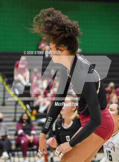 Thumbnail 2 in Hamilton @ Basha photogallery.