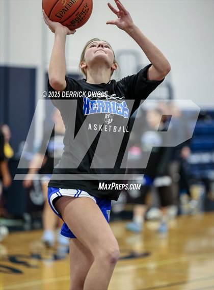 Thumbnail 1 in Herricks @ Oceanside photogallery.