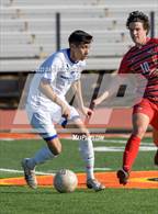 Photo from the gallery "Sunnyside vs. Brophy College Prep"