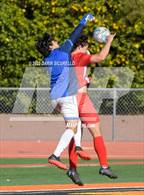 Photo from the gallery "Sunnyside vs. Brophy College Prep"