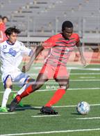 Photo from the gallery "Sunnyside vs. Brophy College Prep"