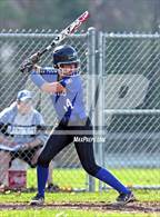 Photo from the gallery "Lewis Mills @ Glastonbury"