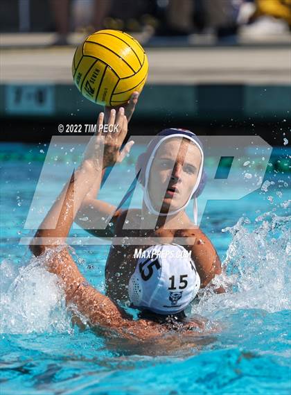 Thumbnail 2 in Newbury Park @ Yorba Linda photogallery.