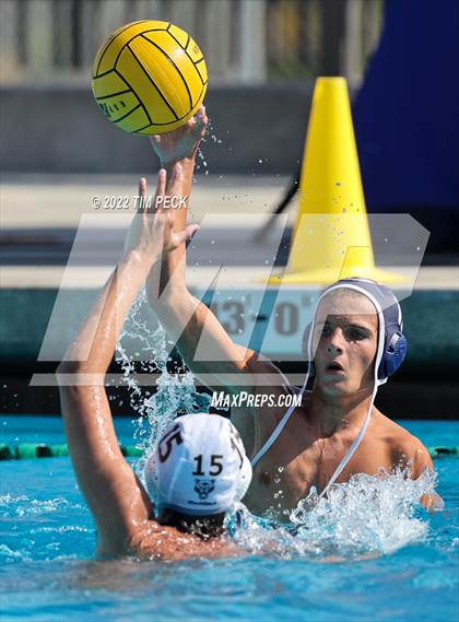 Thumbnail 3 in Newbury Park @ Yorba Linda photogallery.