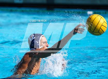Thumbnail 3 in Newbury Park @ Yorba Linda photogallery.