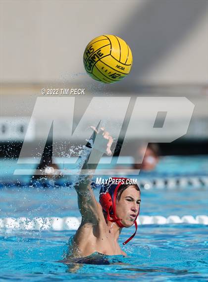 Thumbnail 3 in Newbury Park @ Yorba Linda photogallery.