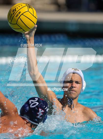 Thumbnail 1 in Newbury Park @ Yorba Linda photogallery.