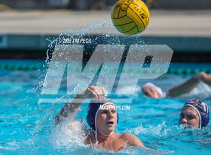 Thumbnail 2 in Newbury Park @ Yorba Linda photogallery.
