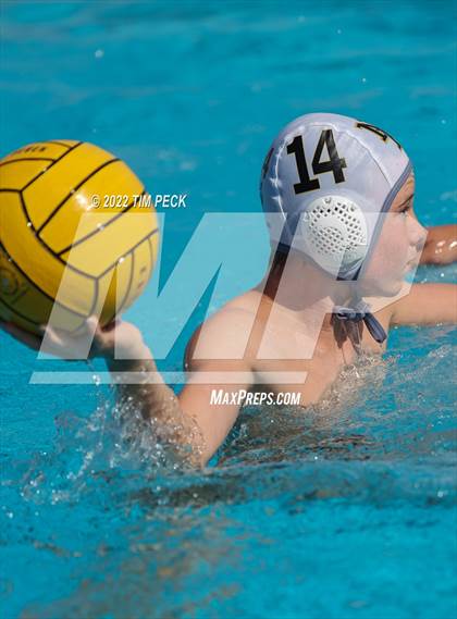 Thumbnail 1 in Newbury Park @ Yorba Linda photogallery.